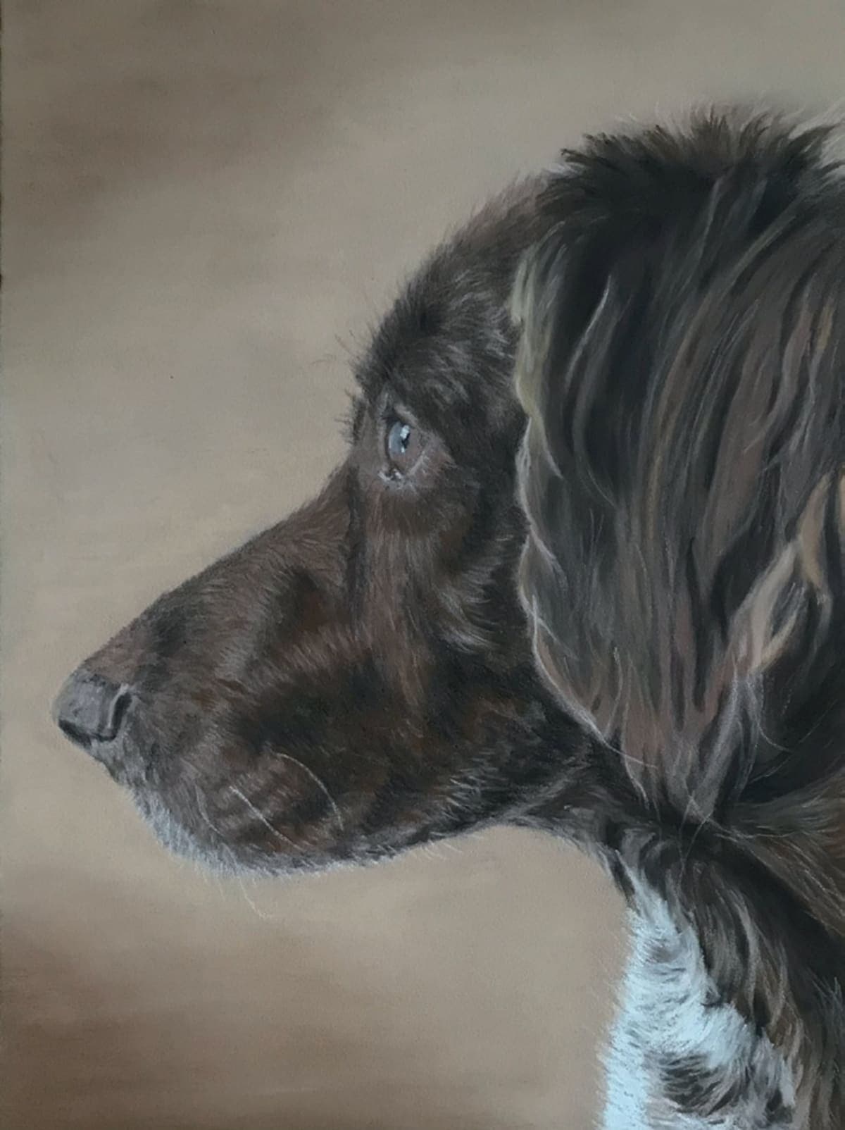 Pasteltekeningen van dieren in opdracht — Vereeuwig je geliefde huisdieren met op maat gemaakte pasteltekeningen die hun karakter op zachte, natuurlijke wijze vastleggen